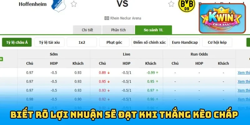 Biết rõ lợi nhuận sẽ đạt khi thắng kèo chấp